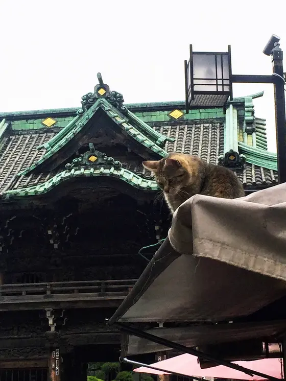 山門