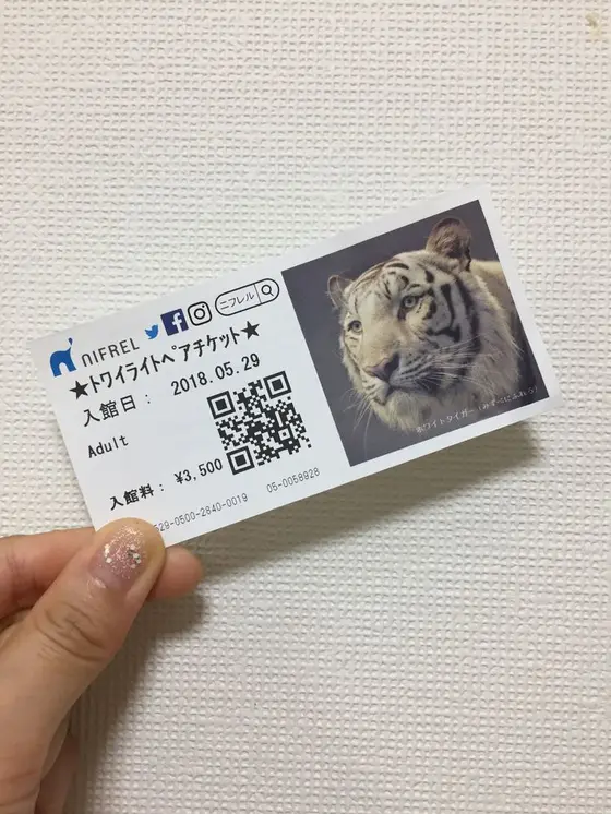 ニフレル入館チケット