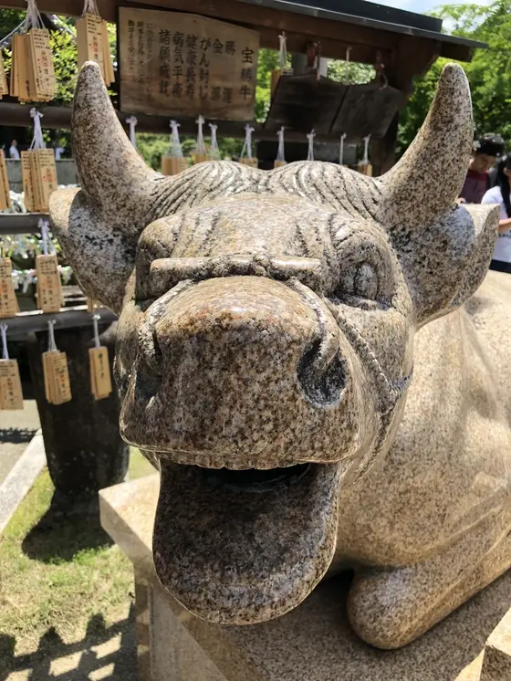 宝勝牛