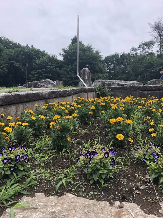 日時計と花