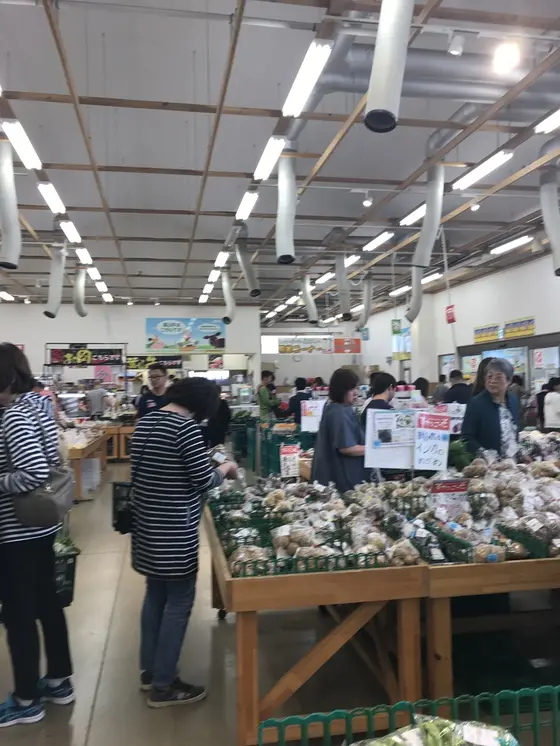 中はかなり広かったです！