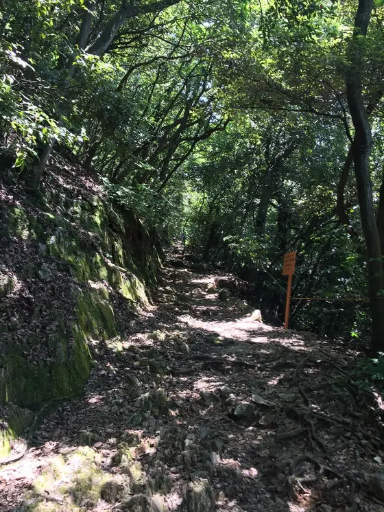 登山道