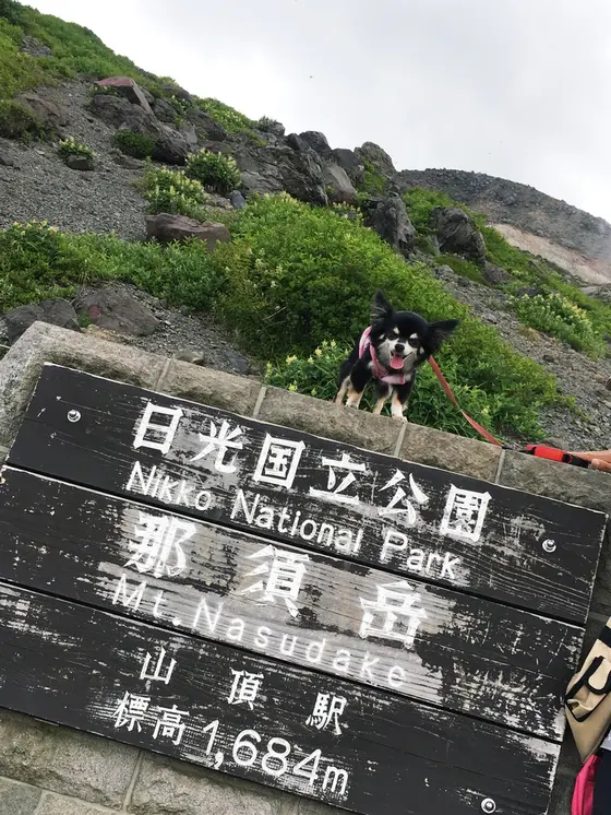 茶臼岳
