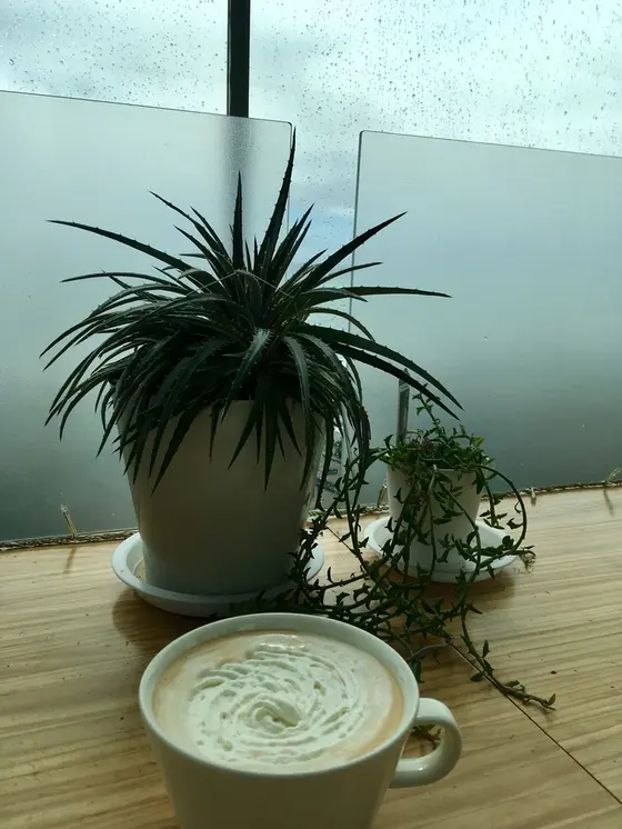 ロイヤルミルクティー