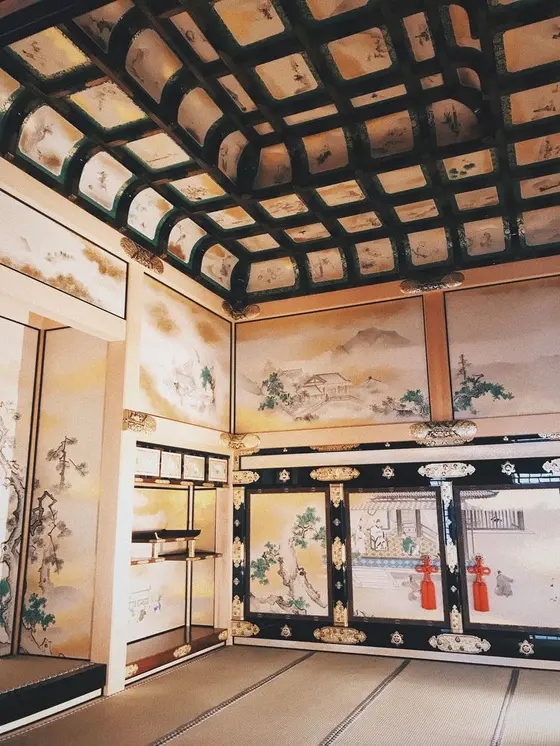 美しい天井