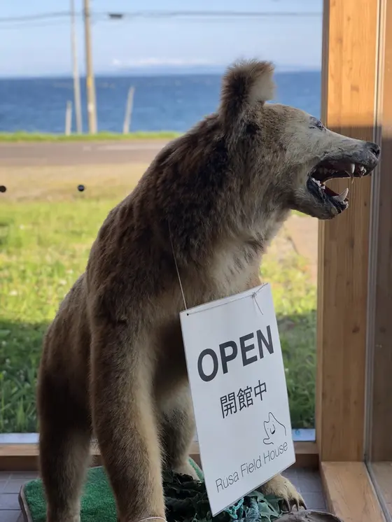 ヒグマのお出迎え