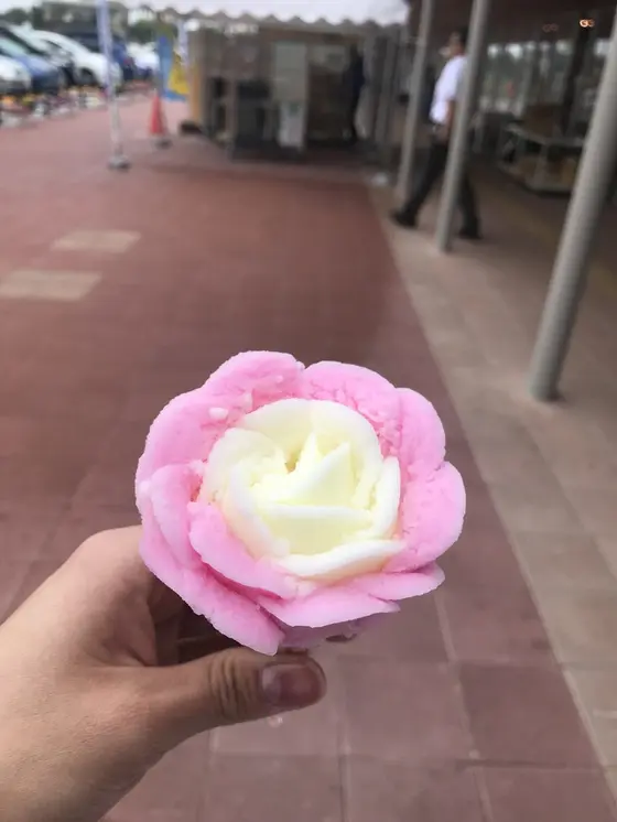 スポット内のおすすめ