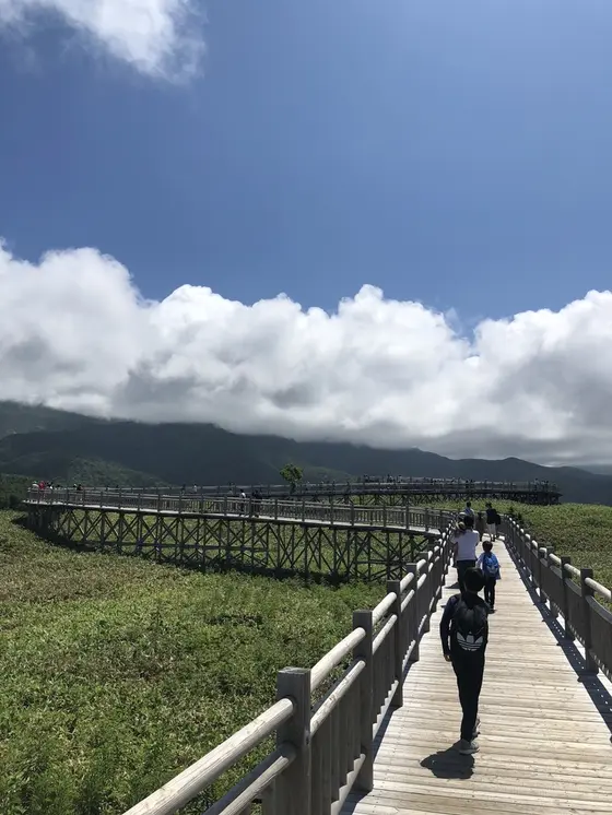 高架木道