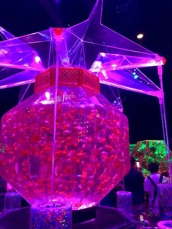 スポット内のおすすめ