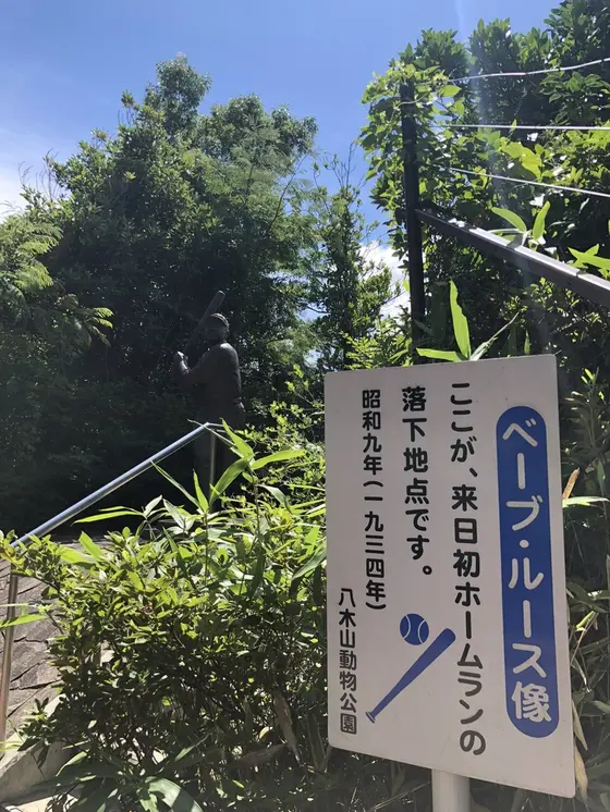 落下地点