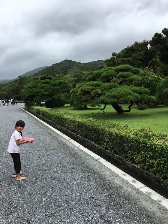 歩道側面庭