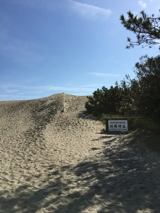 これが浜岡砂丘