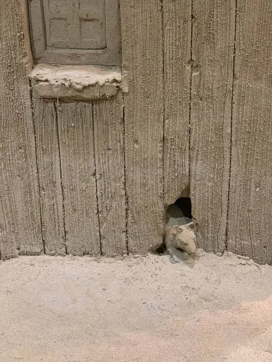 家から🐭