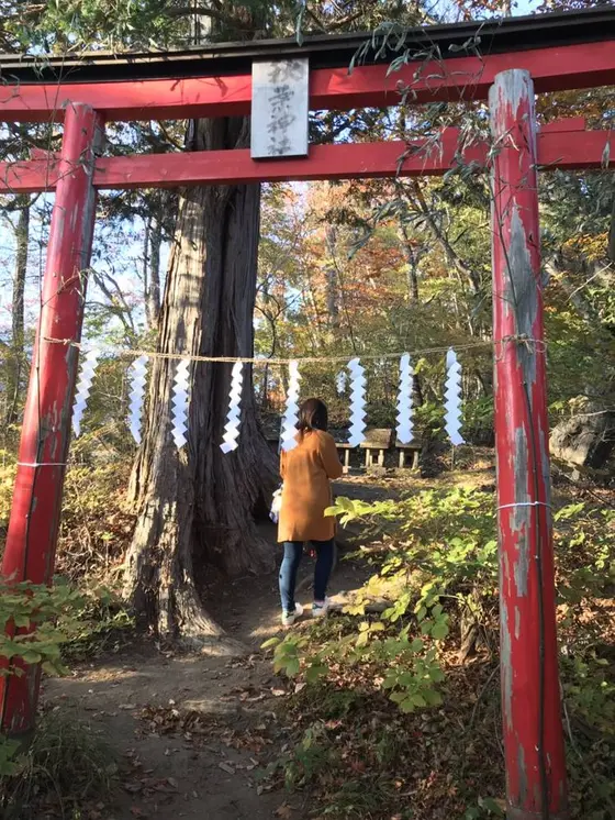 スポット内のおすすめ