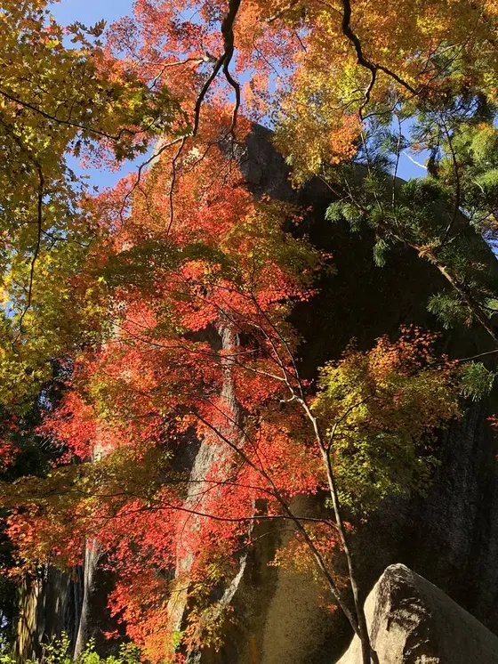 磨崖仏近くの紅葉