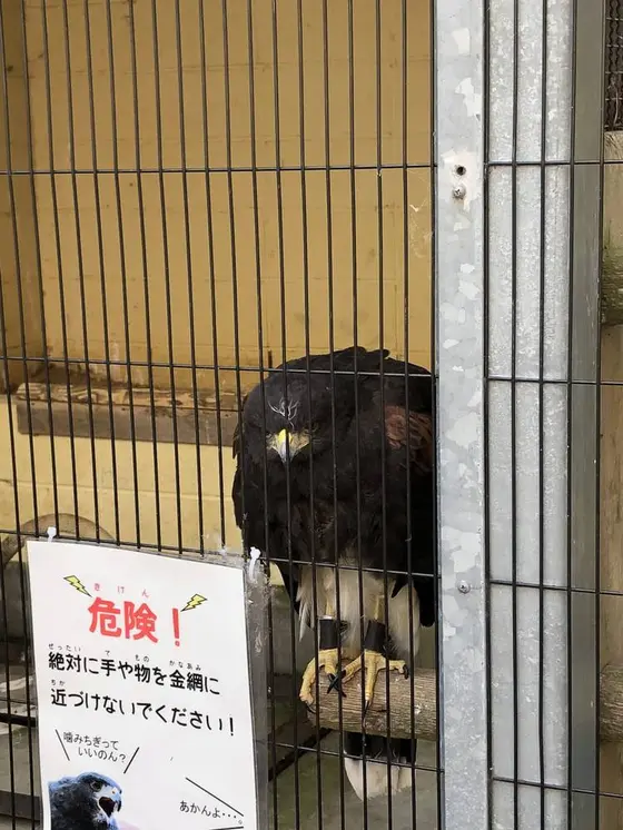 グリーンヒルエリア