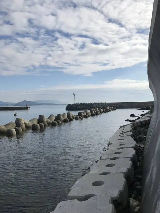 先波止