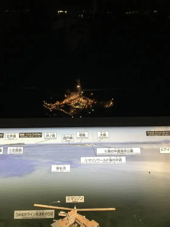 夜景