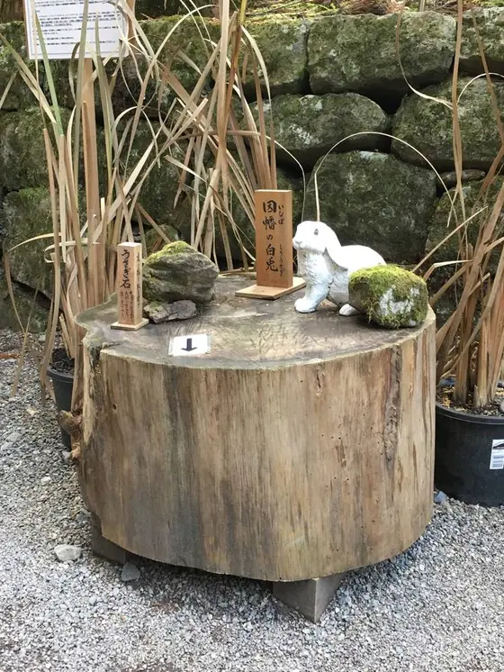 因幡の白兎に見える石