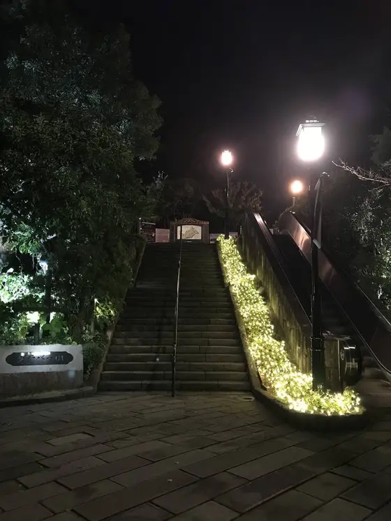 夜はイルミネーションが美しい