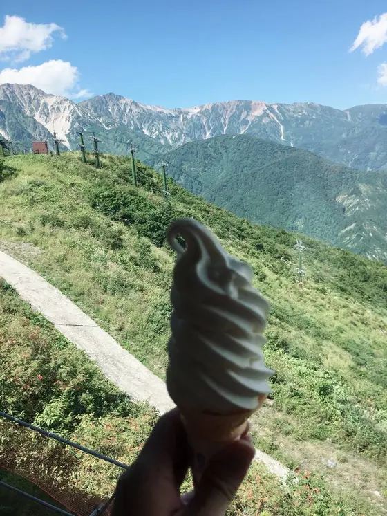 スポット内のおすすめ