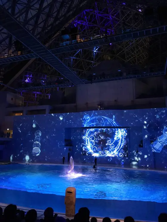 海の動物たちのショー「LIGHTIA」