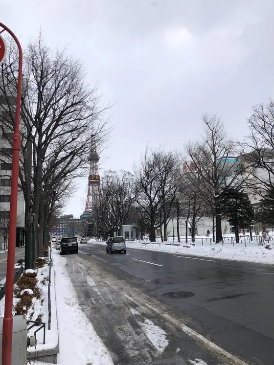 大通り
