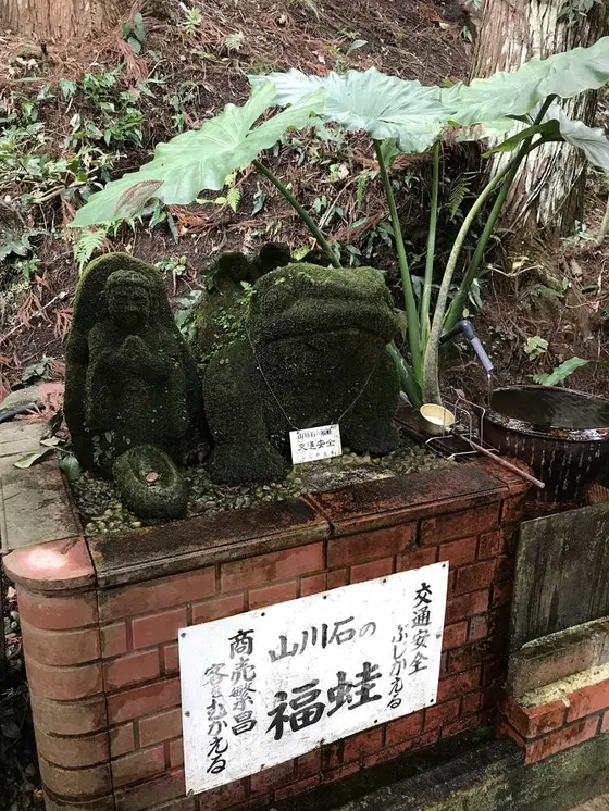 無事カエル