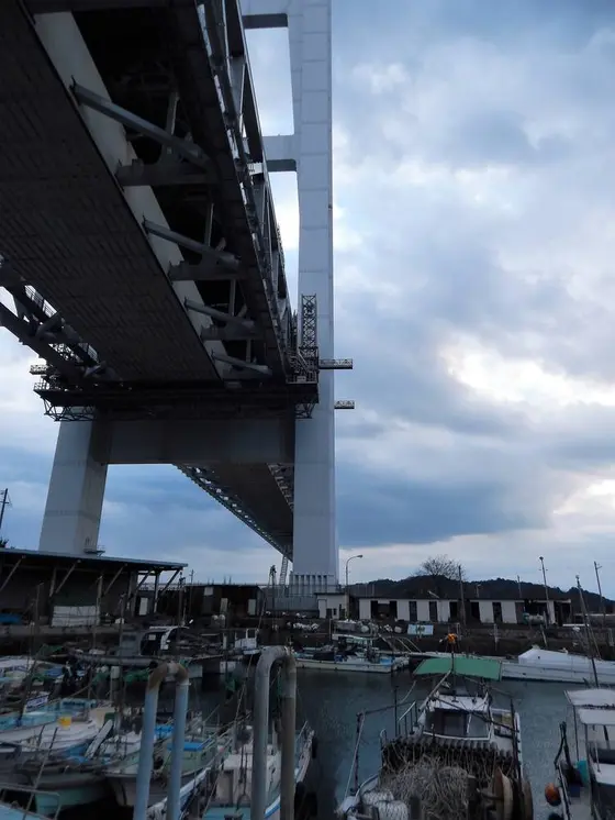 すぐ横の「田之浦港」