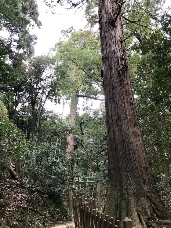 佐久佐女の森へ