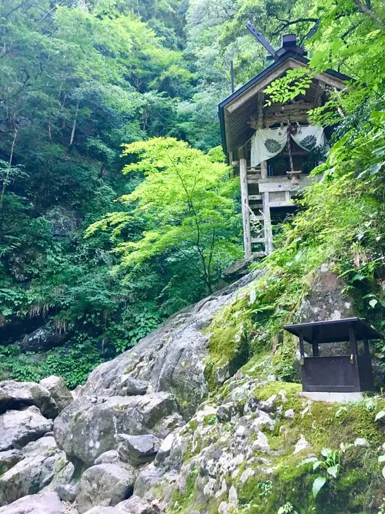 この岩崖登ります。