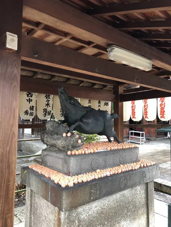 境内には沢山のいのししが。