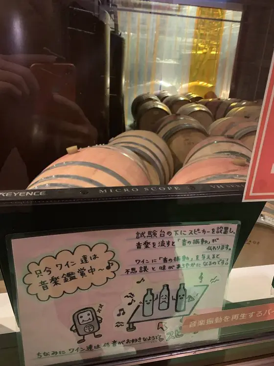スポット内のおすすめ
