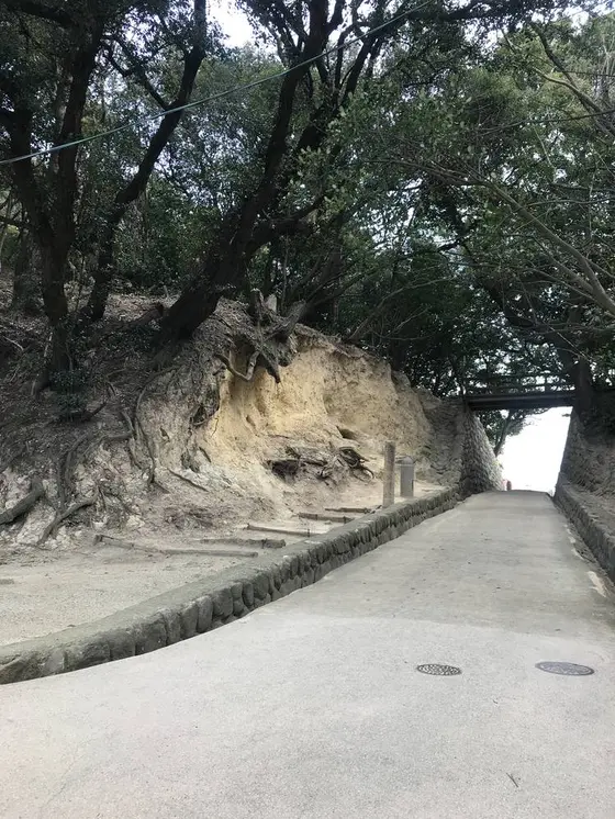 龍の背中に乗れる場所