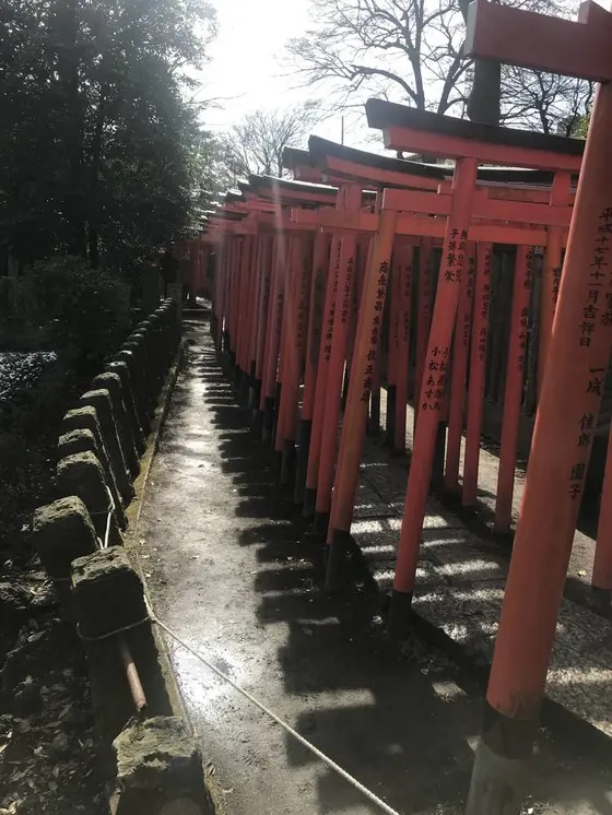 スポット内のおすすめ