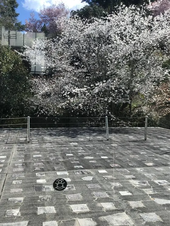 桜とアンパンマン