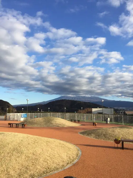 残念ながら雲で隠れていた