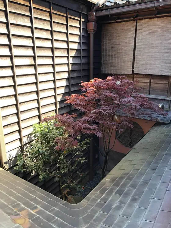 二階から見た中庭