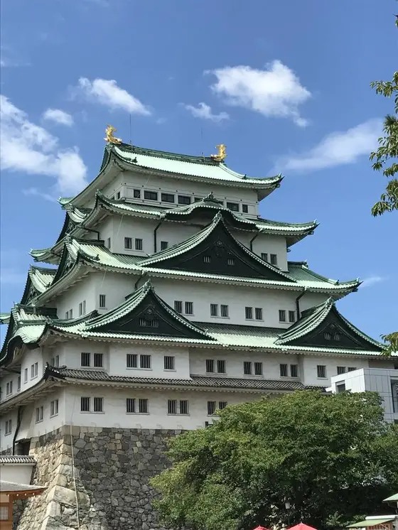 敷地内から本殿を撮影📸