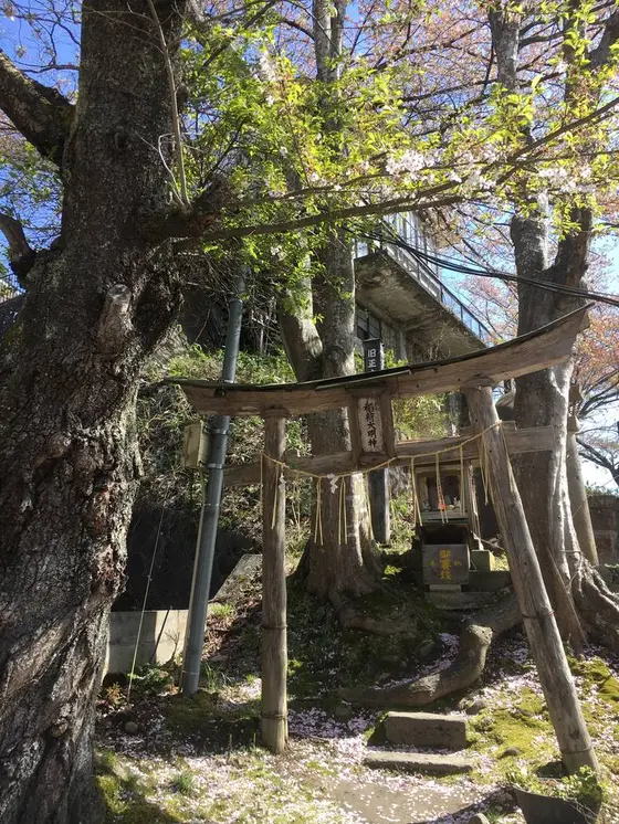 小さな鳥居