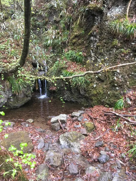 清水