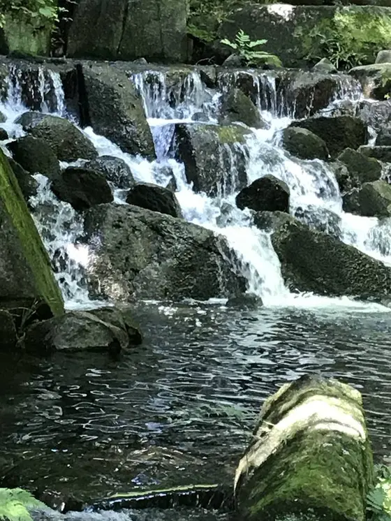 渓流