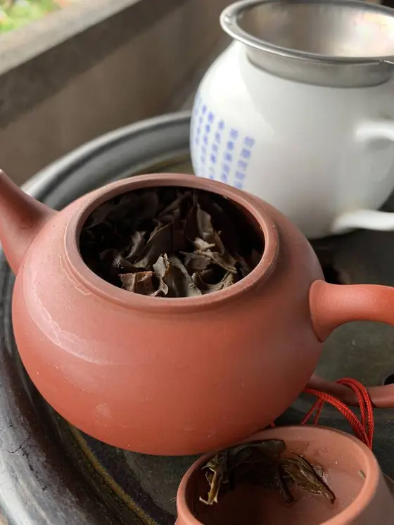 茶葉もよく開いています