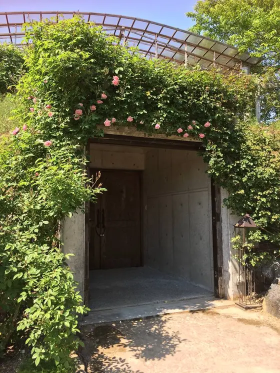 中は入れません