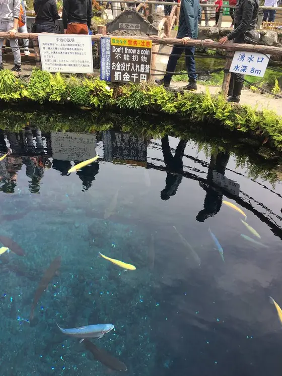 中央の池