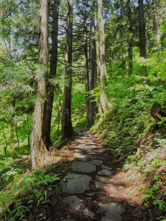 滝まで石畳の道を歩きます