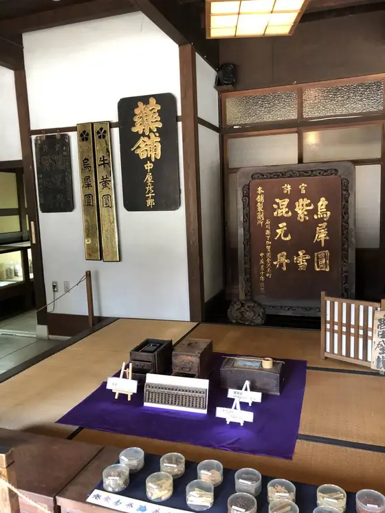 スポット内のおすすめ