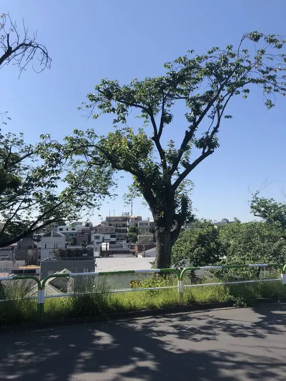 木陰は有難い。