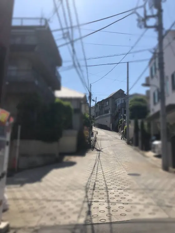 いざ！のぼります！
