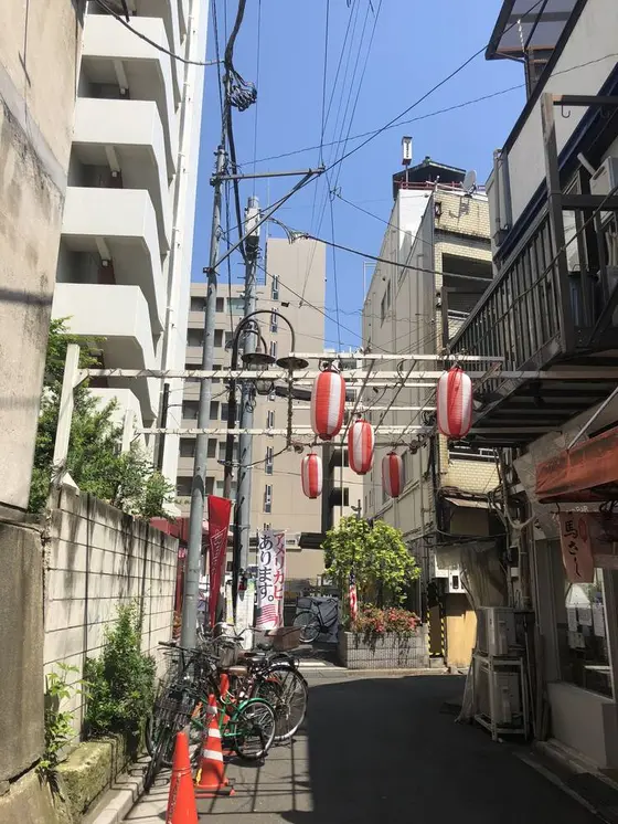 下から見上げる。